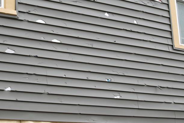 Best Dumpster Rental Services  in Nettleton, MS
